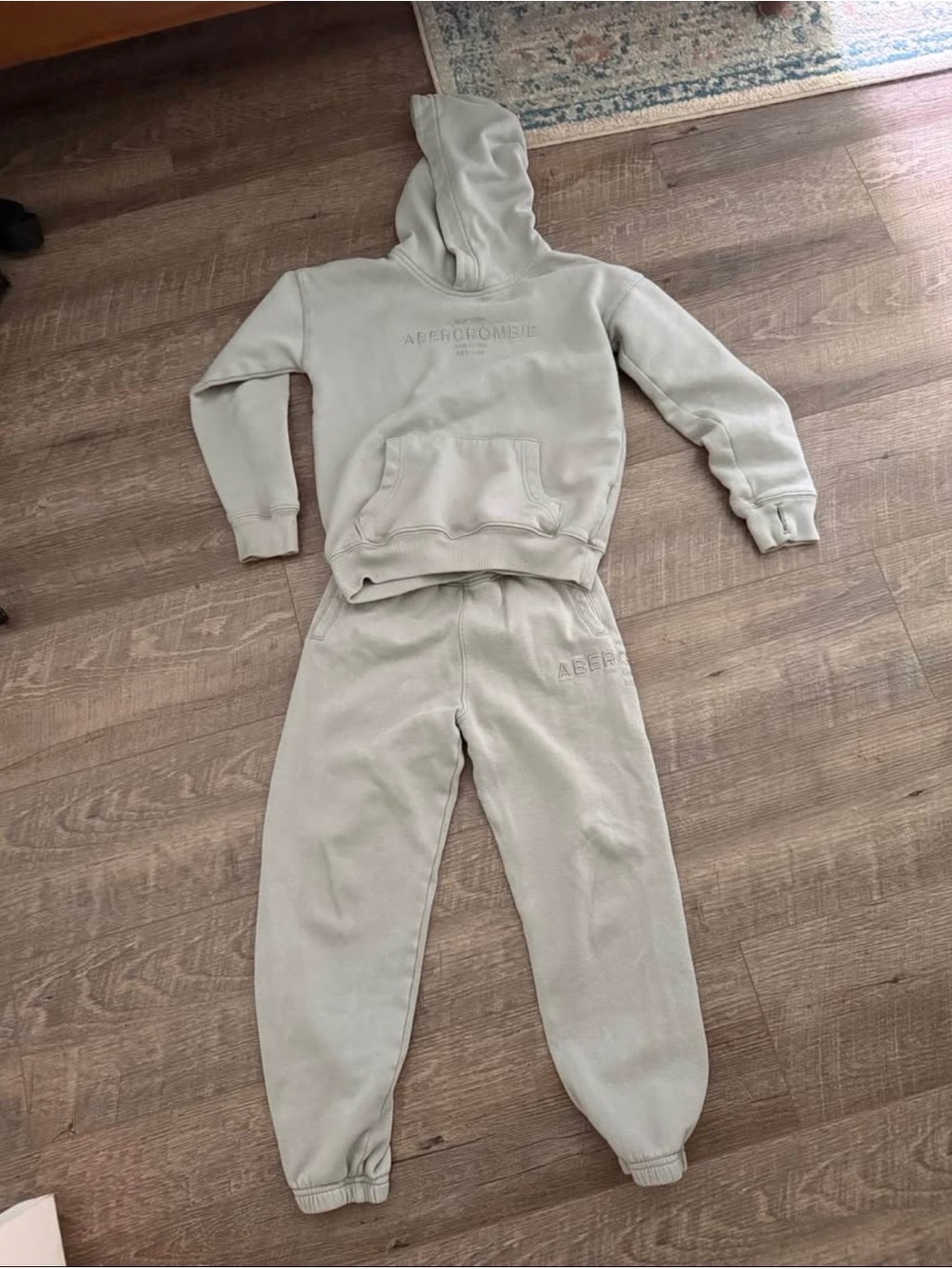 Abercrombie & Fitch Kids Light Gray Hooded Sweatshirt & Jogger Set( 7-8)